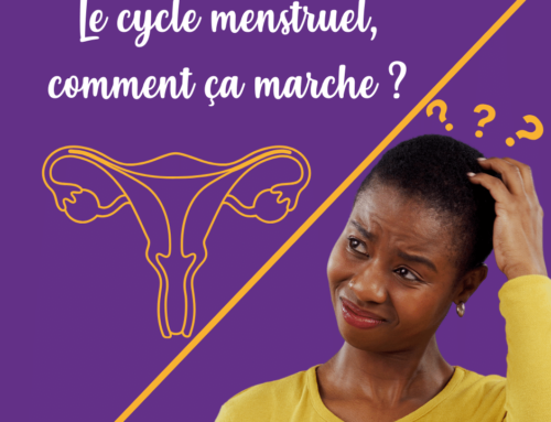 Le cycle menstruel, comment ça marche?